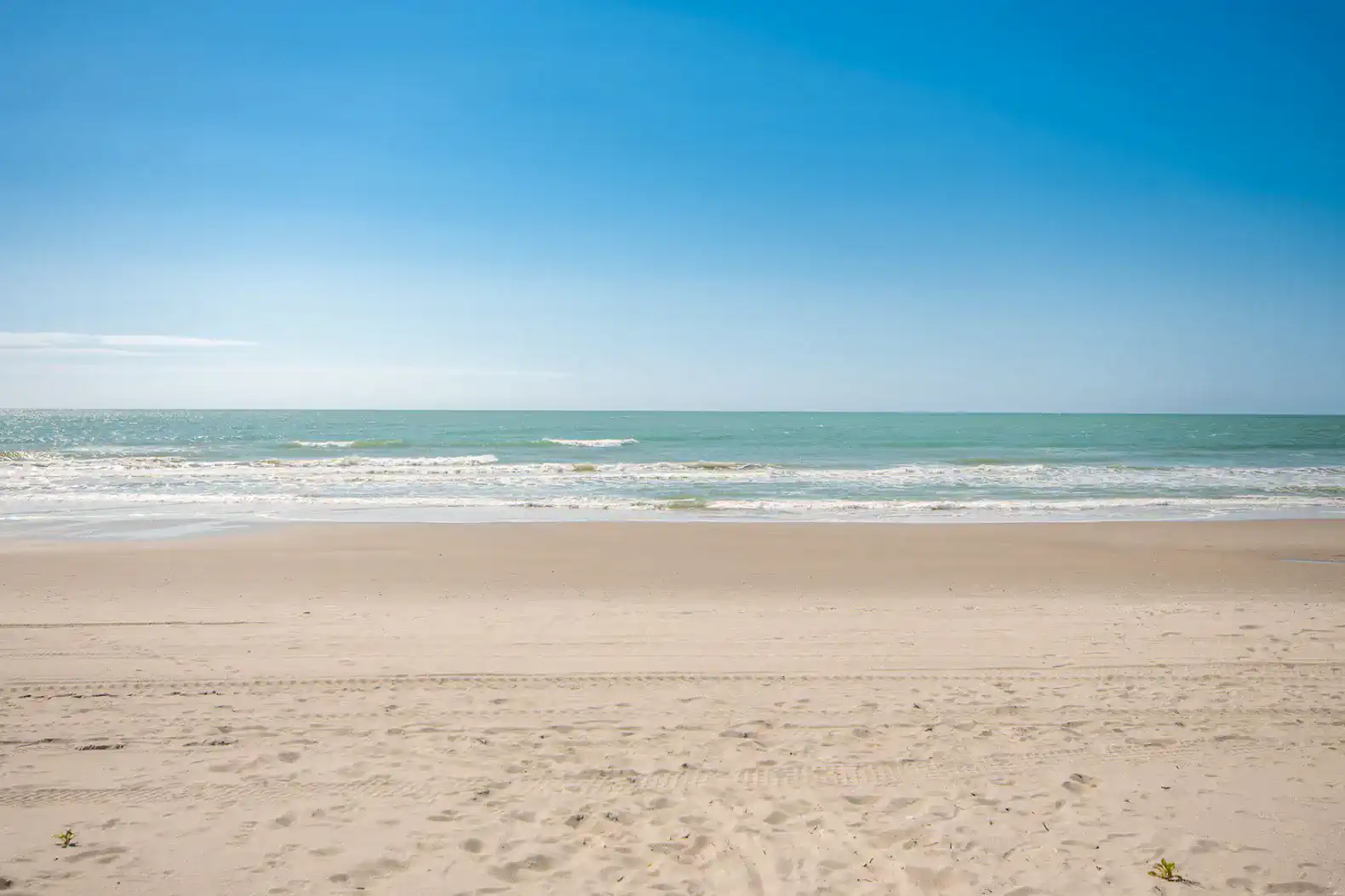 The Surf Lodge photo 4