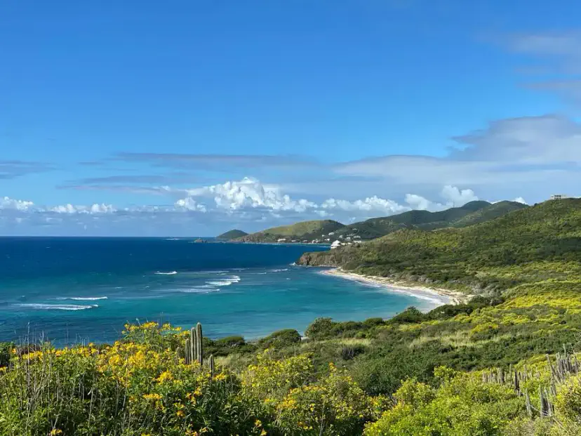 The East End beaches