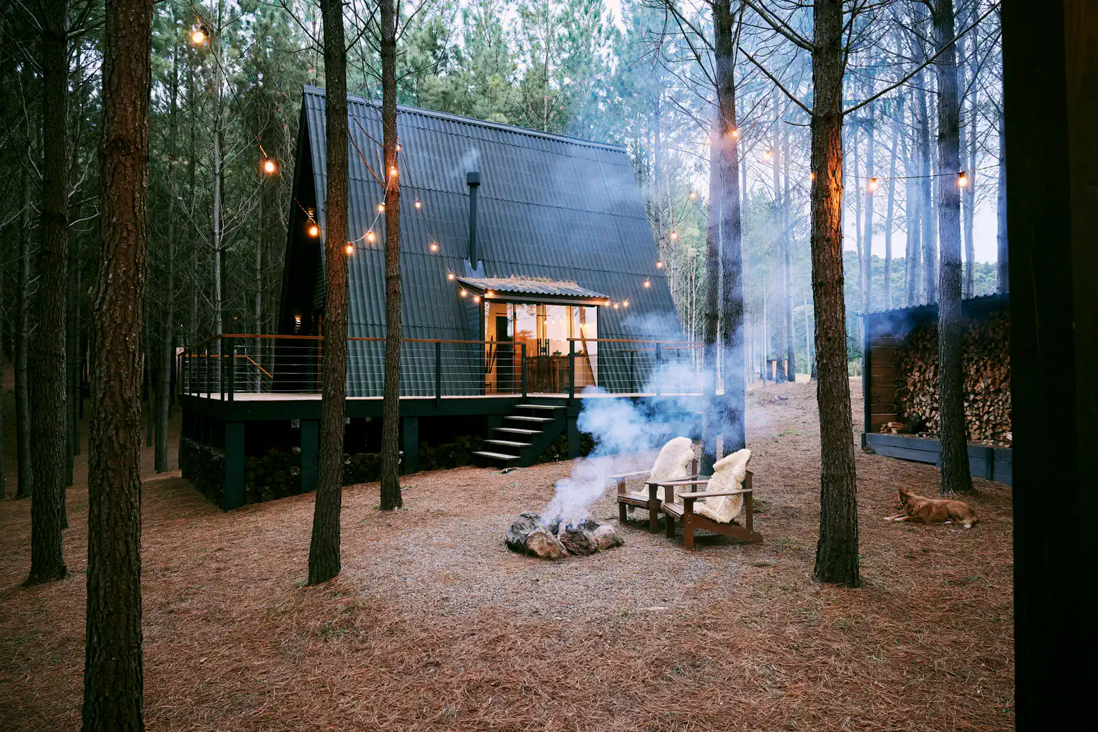 The Lodgepole Residence – photo 4