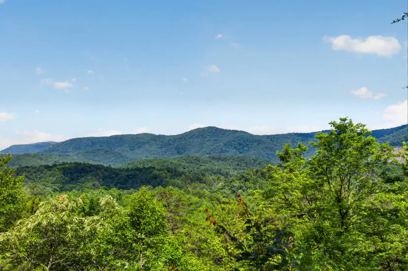 Explore the Area