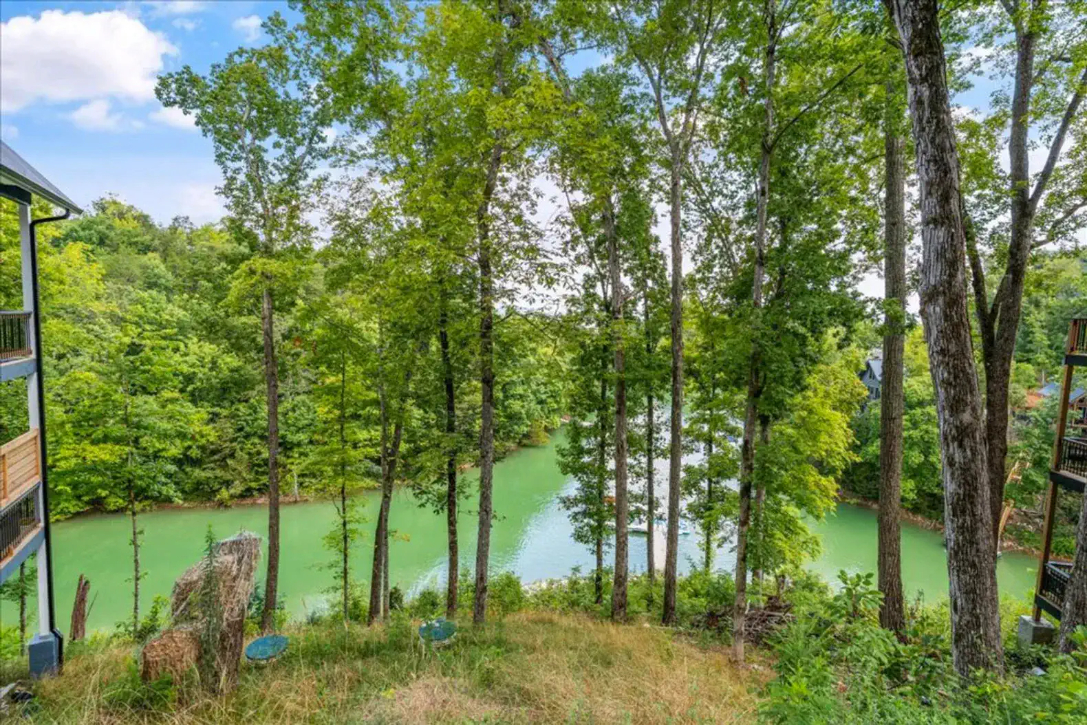 Scenic view of Lake Douglas surrounded by lush greenery