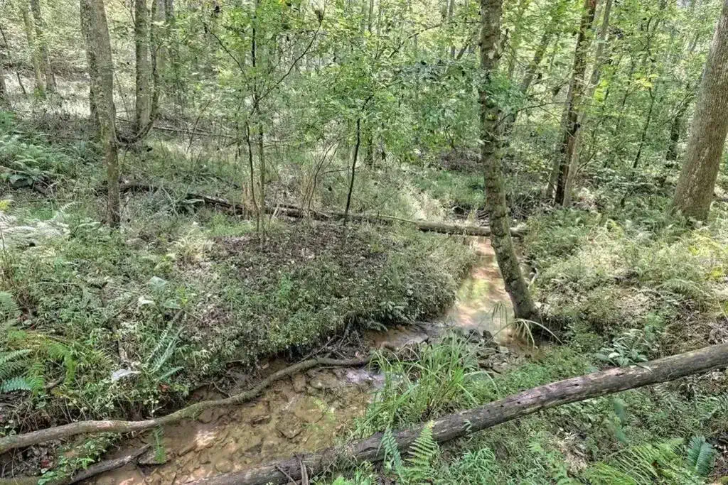Explore Blue Ridge