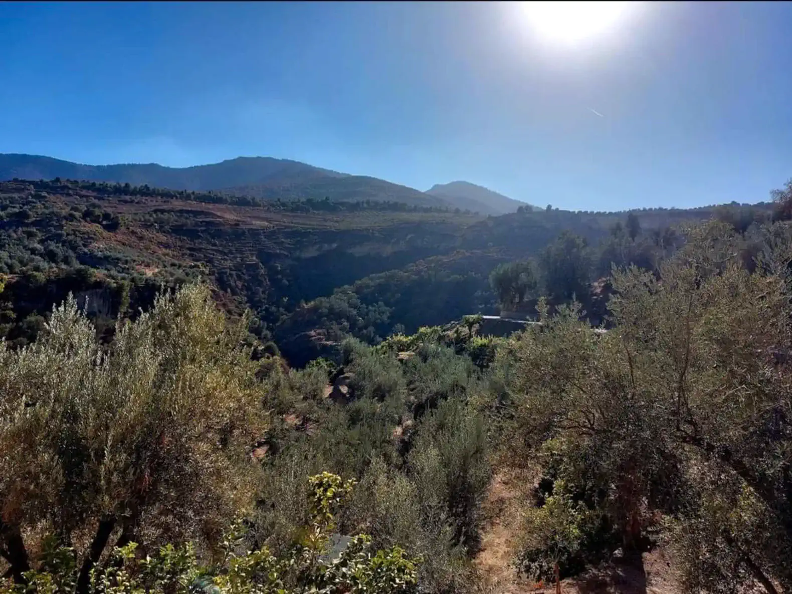 A House In Granada photo 6