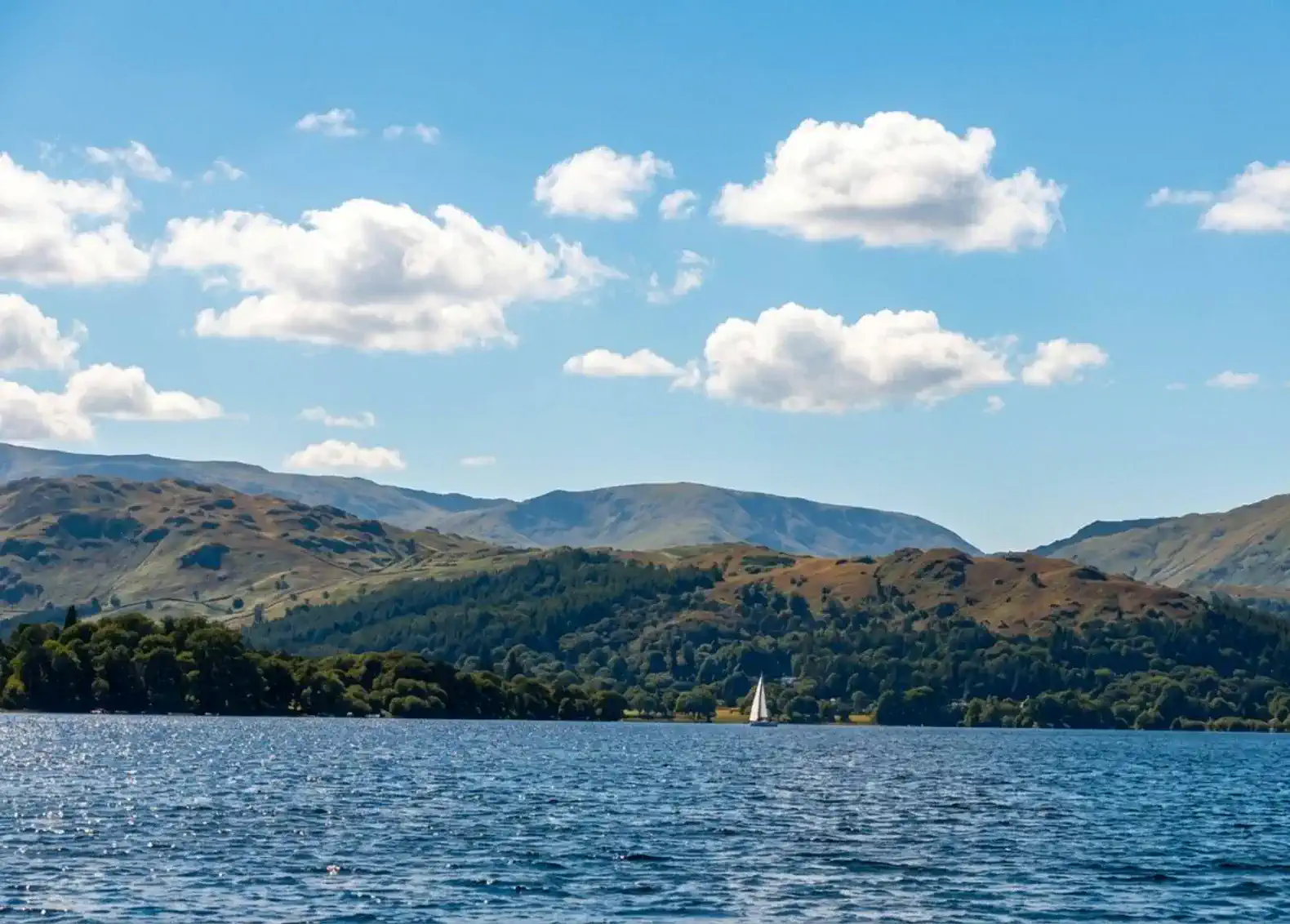 The Lake House - Quiet, Dog Friendly, By the Lake