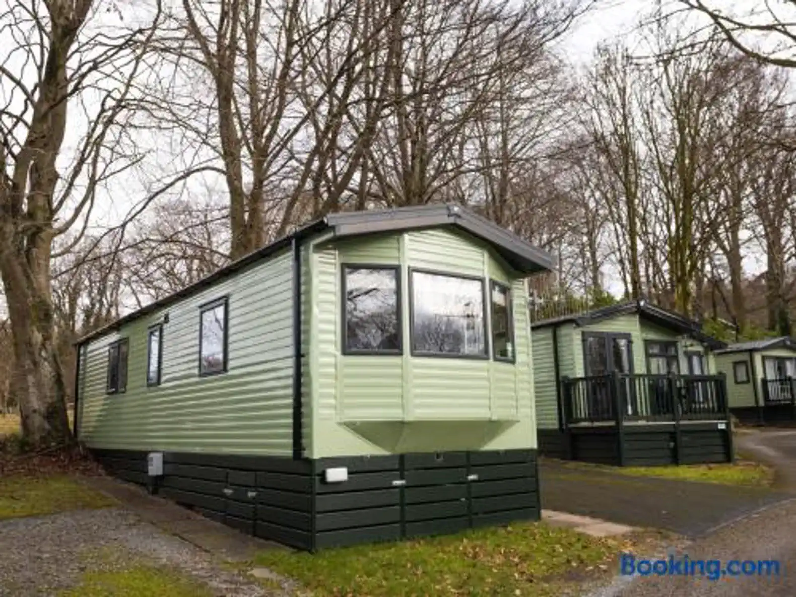 Exterior view of green cabin surrounded by trees