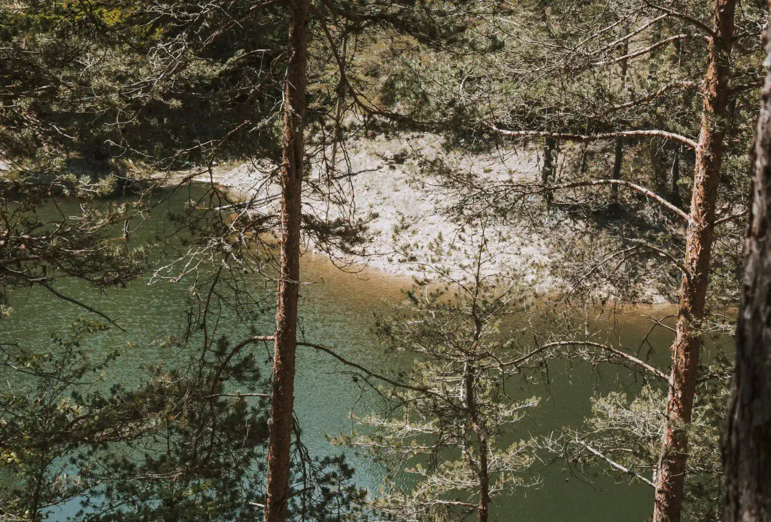 Spruce Hollow Lodge (Copy) – photo 18