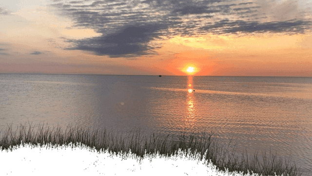 OBXvista.com