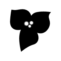 Lumina