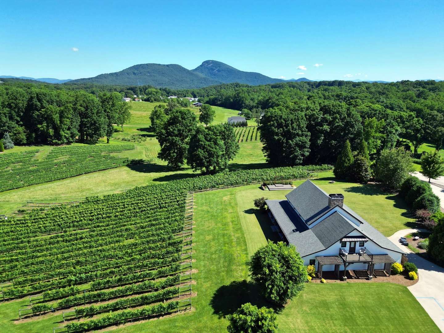 CeNita Vineyards & Winery, Cleveland