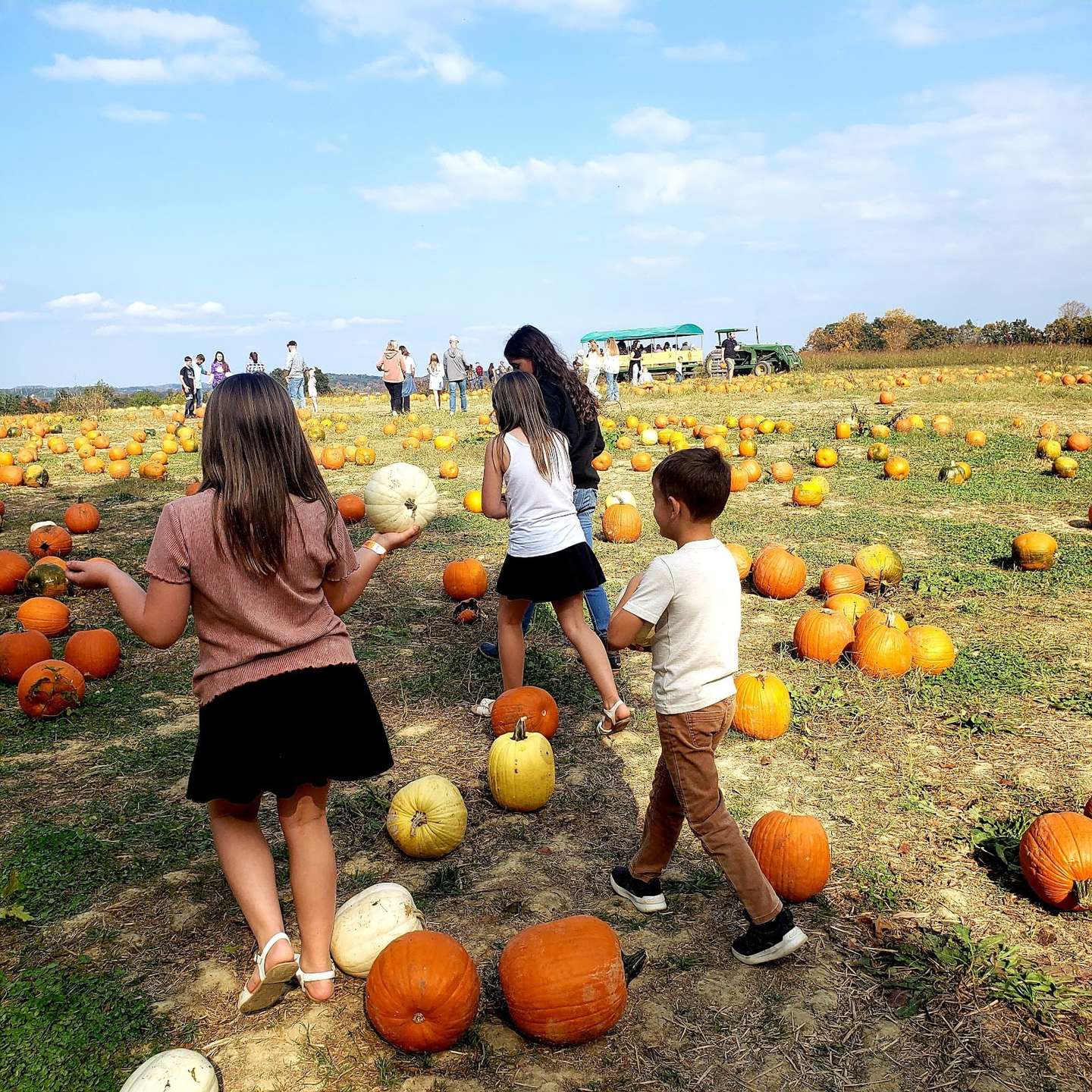 Sevierville’s Autumn Treasures: Farm Fun & Antique Hunting Near Cedar Creek Hideaway RV
