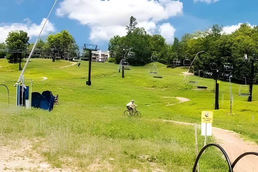 Summer on the mountain
