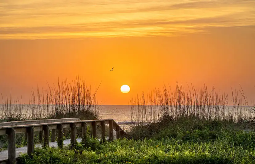 Your next vacation rental