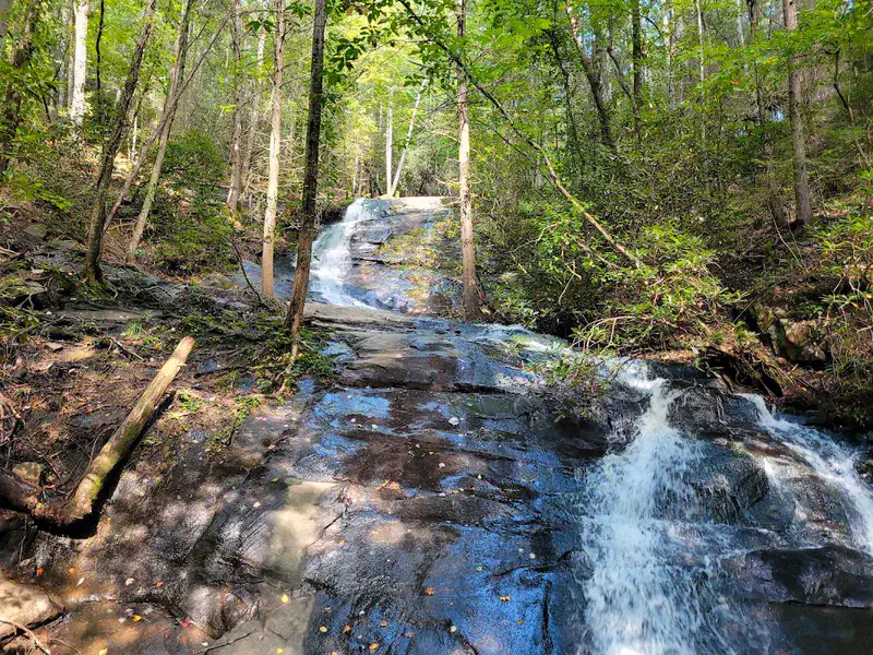 Chutes de Fall Branch