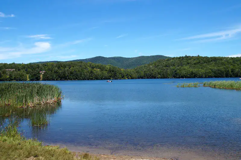Gifford Woods & Kent Pond