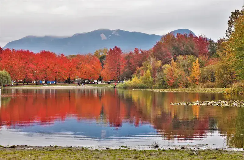 Trout Lake: A Natural Oasis