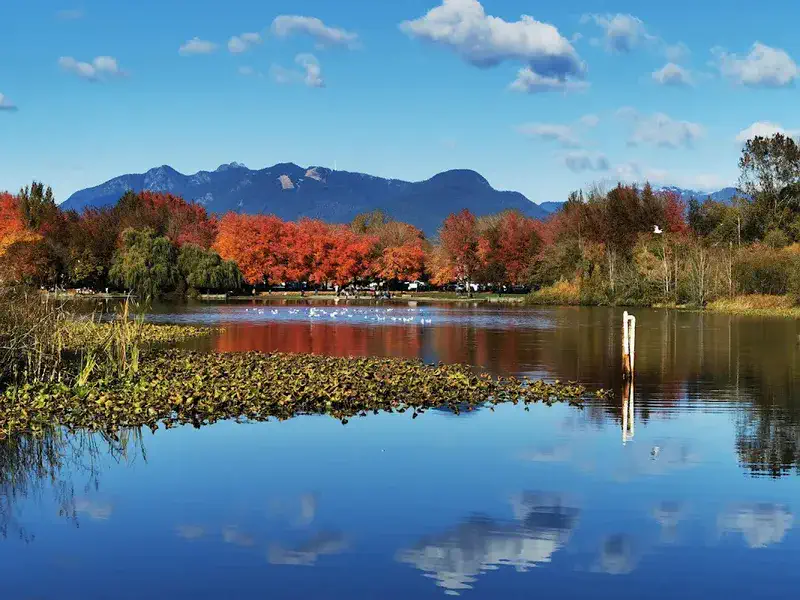 Nearby Parks: Urban Escapes in Vancouver