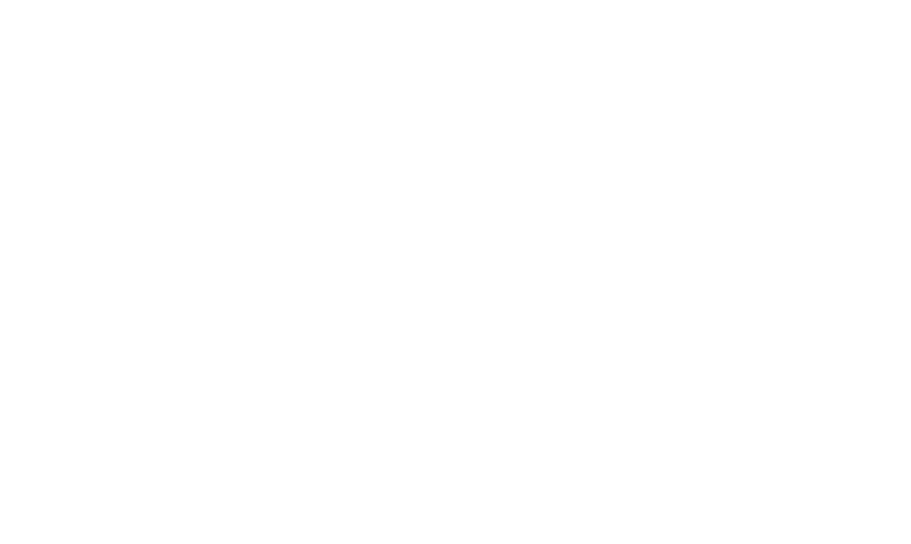 Solterra Camp logo