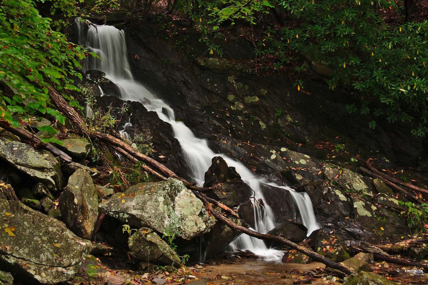 Quick Scenic Hikes Around Ellijay to Stretch Your Mountain Legs