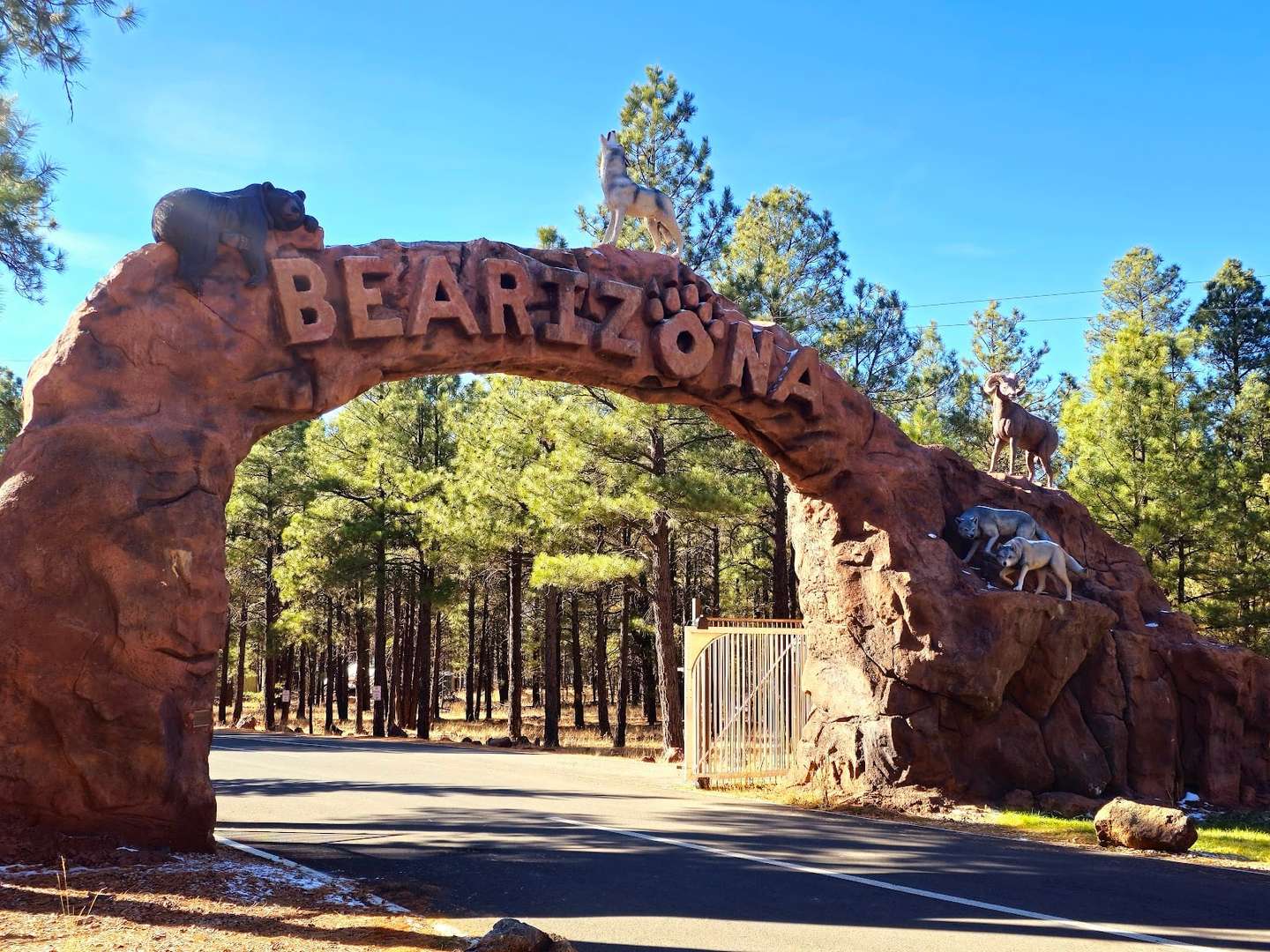 A Day in Williams: Easy Grocery Runs, Train Adventures & Wildlife Encounters