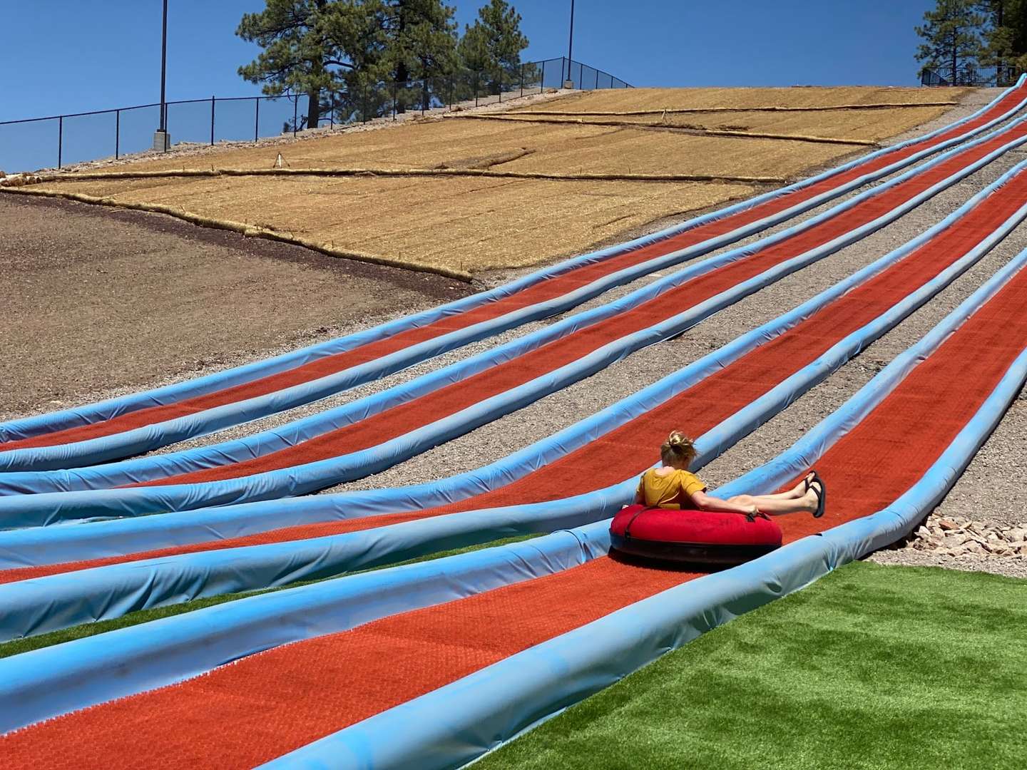 Williams in Bloom: Spring Adventures Just Steps from Your Door