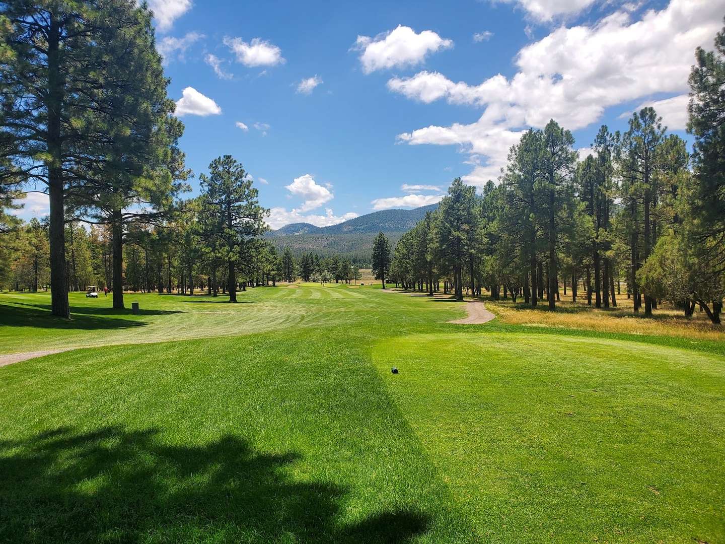 Beyond Route 66: Fresh Ways to Explore Williams’ Outdoors