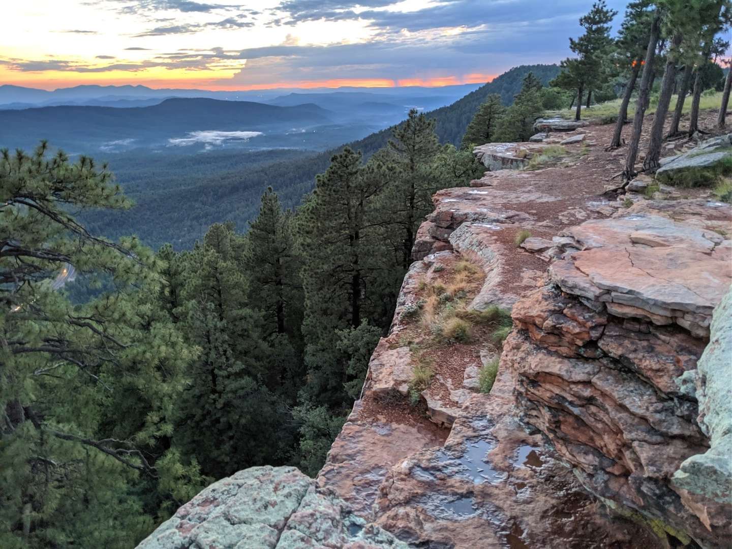 2026 Tonto NF Christmas Tree Permits near Pine, AZ