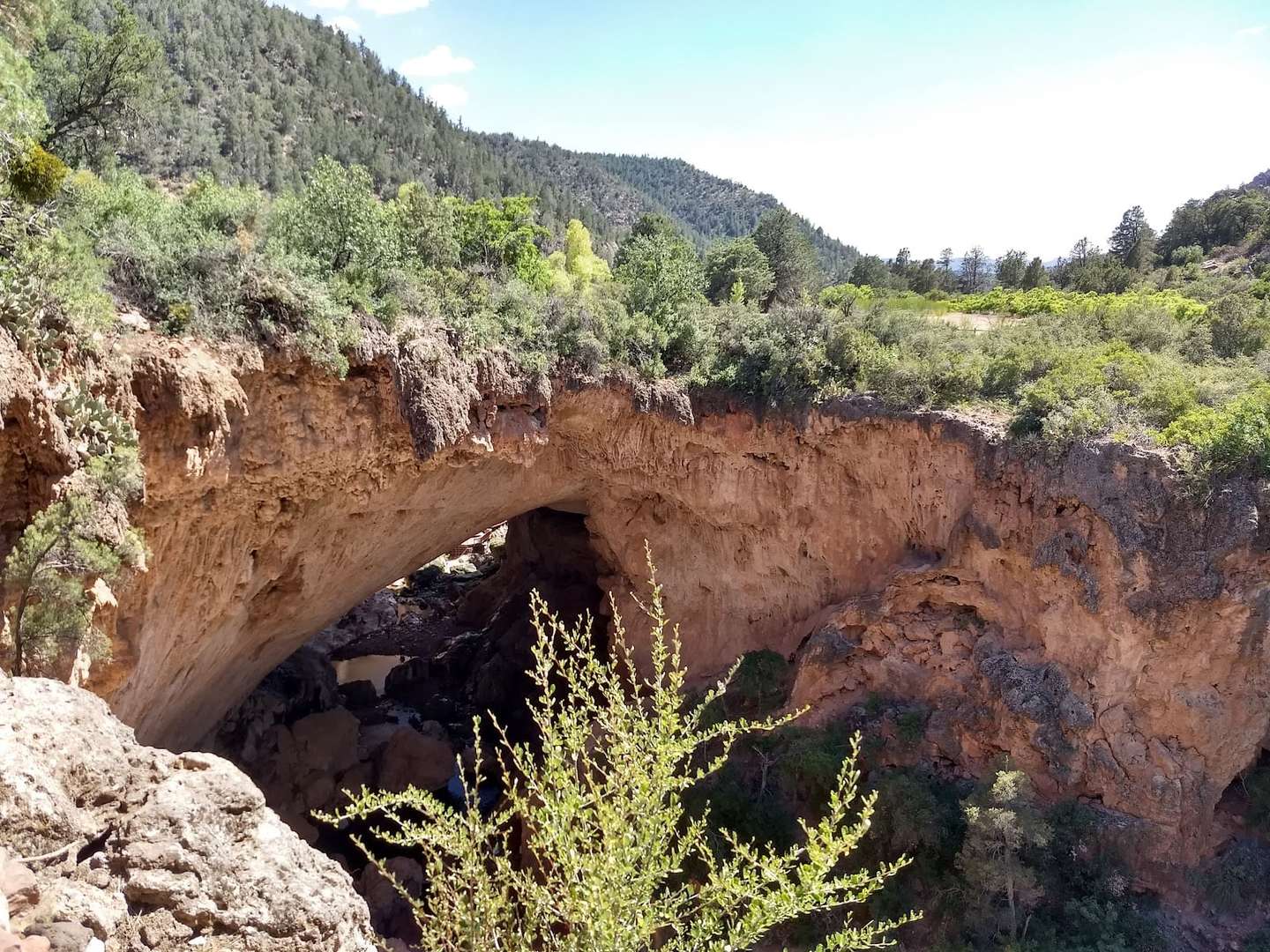Single‑Level Family Cabin in Pine near AZT & Tonto Bridge