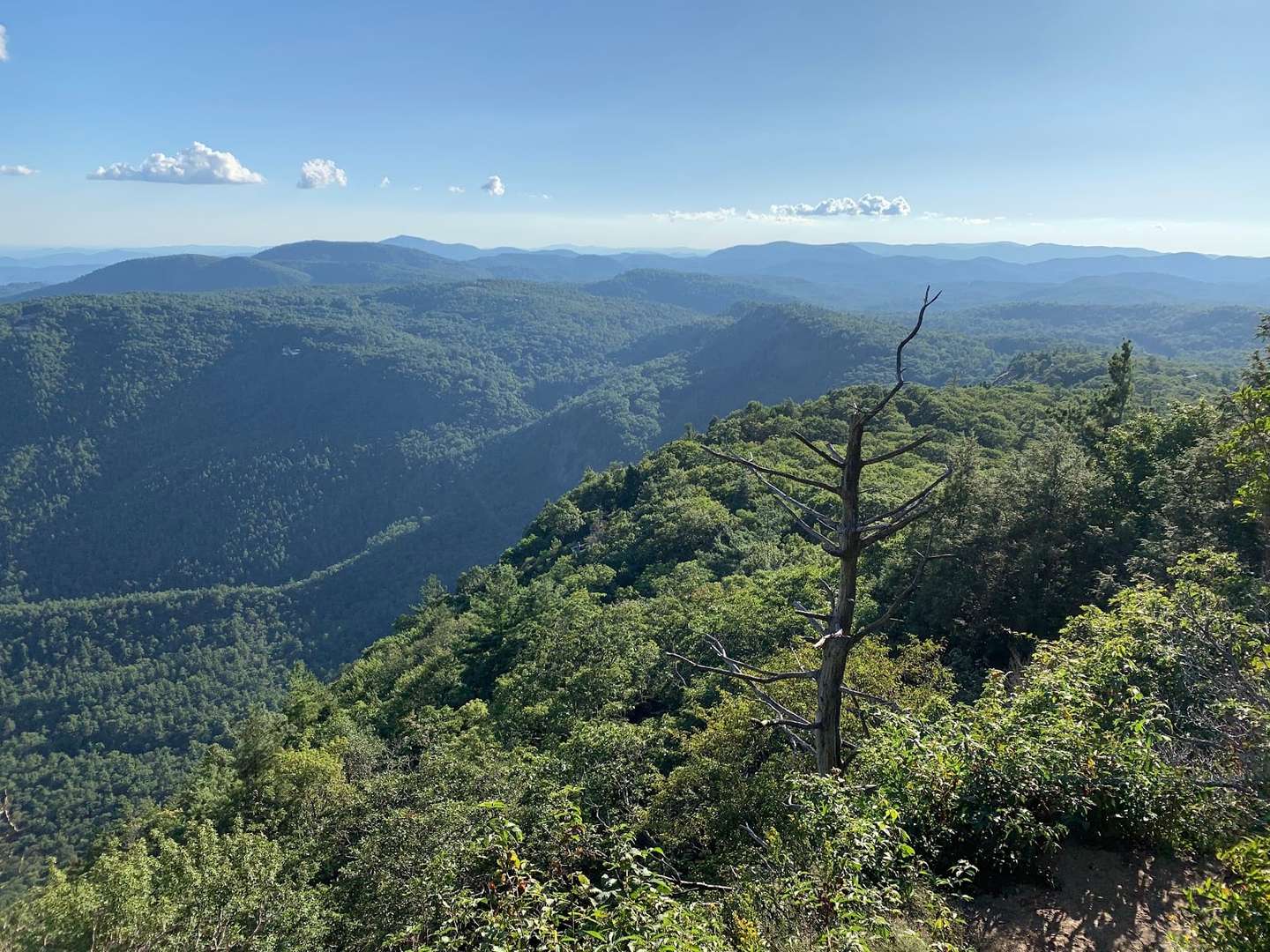 Peak Fall Color in Highlands, NC 2026: When and Where
