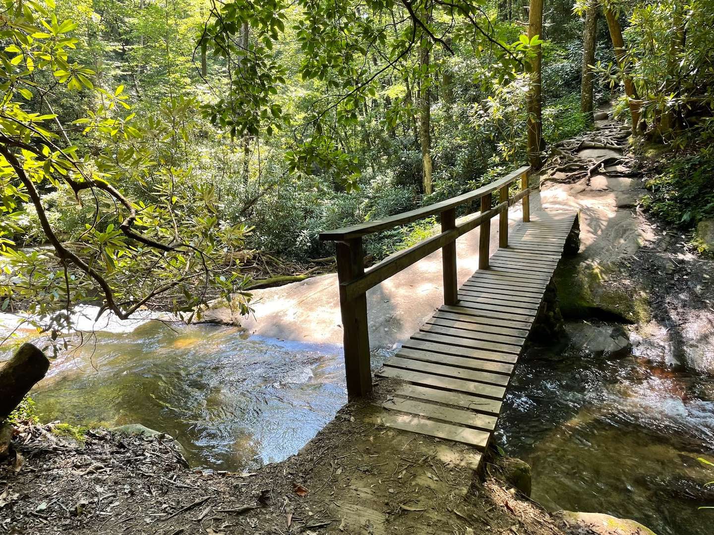 Mountain Trails & Lake Days: Exploring the Tiger, GA Area from SkyHaüs