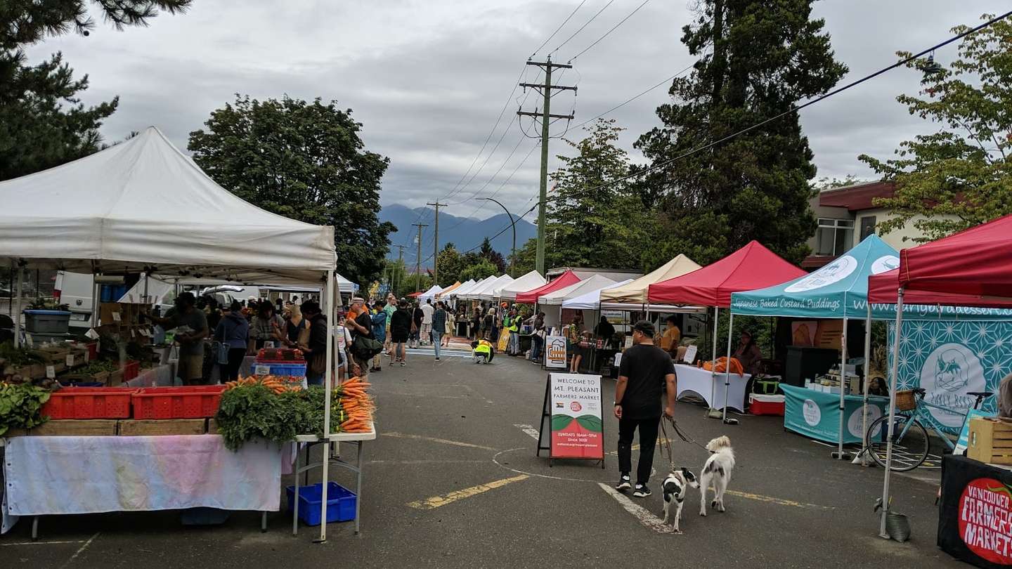 Saturday Strolls and Local Flavours around Trout Lake Oasis