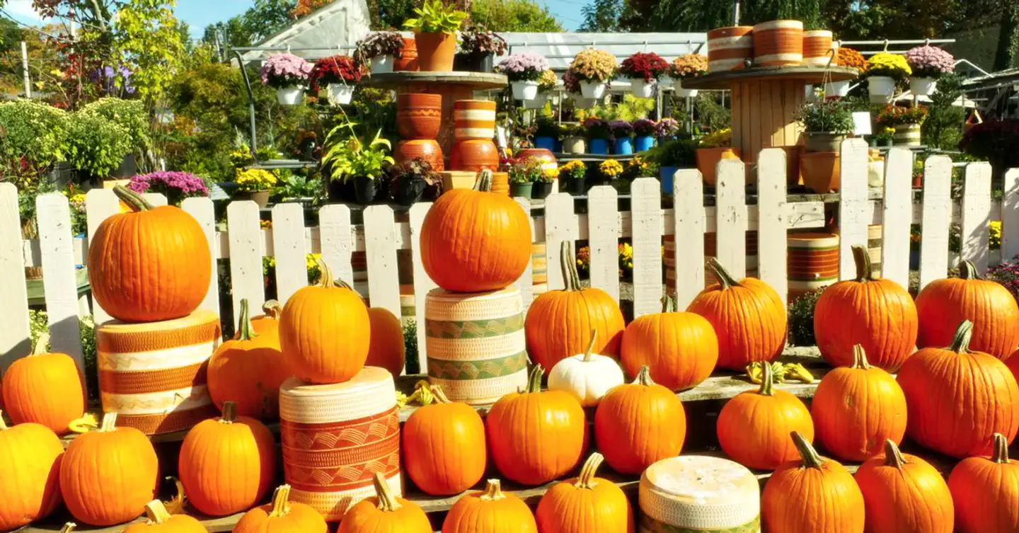 Cheekwood Harvest 2026: Nashville's Pumpkin Village, Fall Blooms and Where to Stay