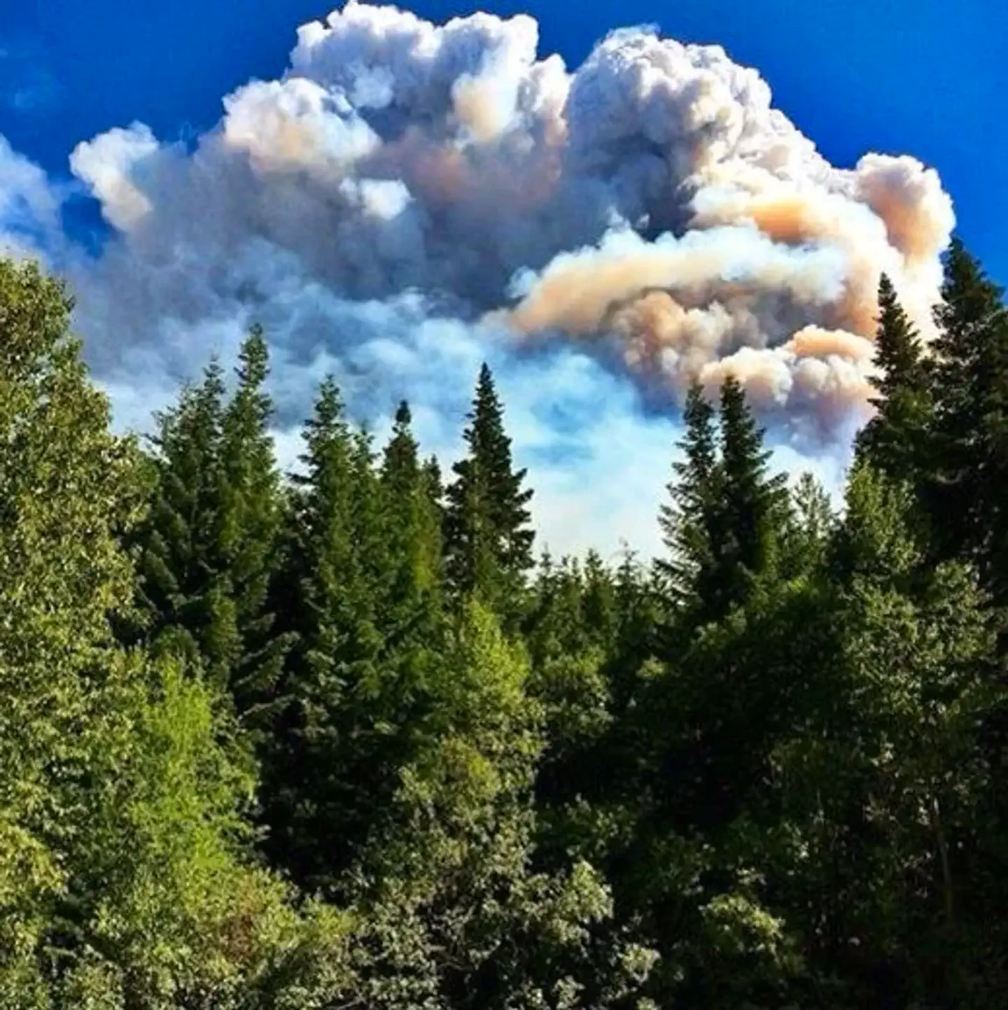 Incendios Chiwaukum