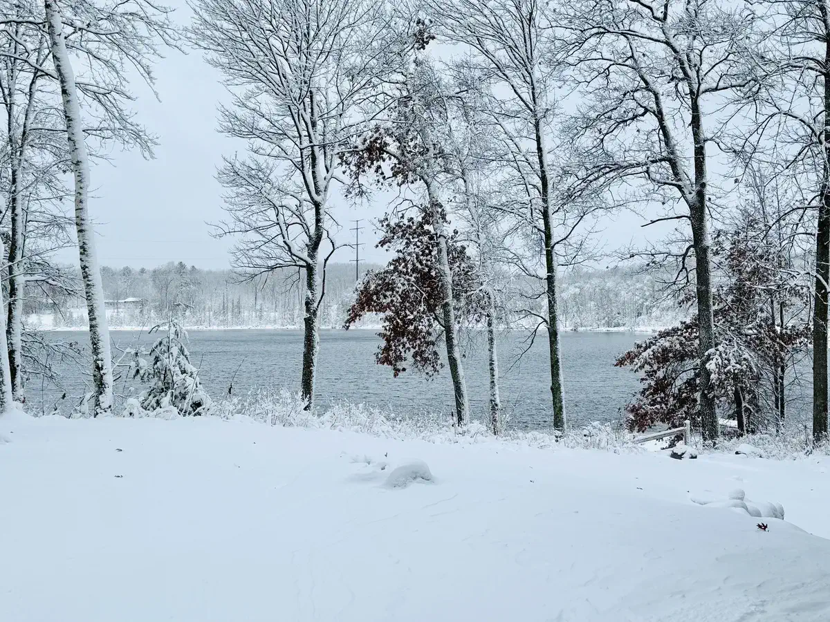 Snow covered trees along Lower Holly Lake, near Hayward, Wisconsin