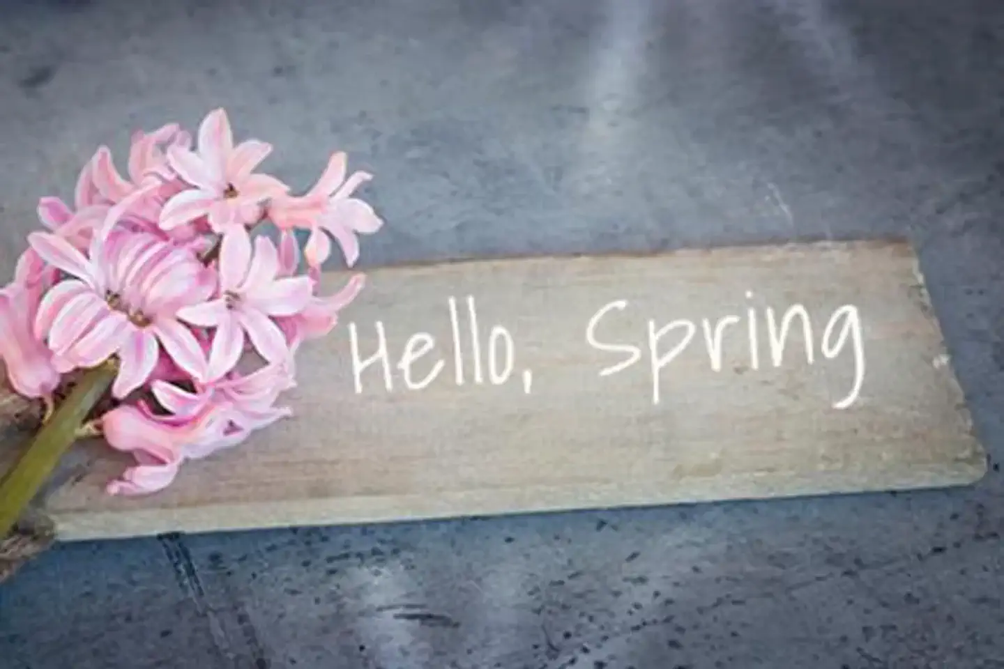 Spring Activities and Events on Cape Ann