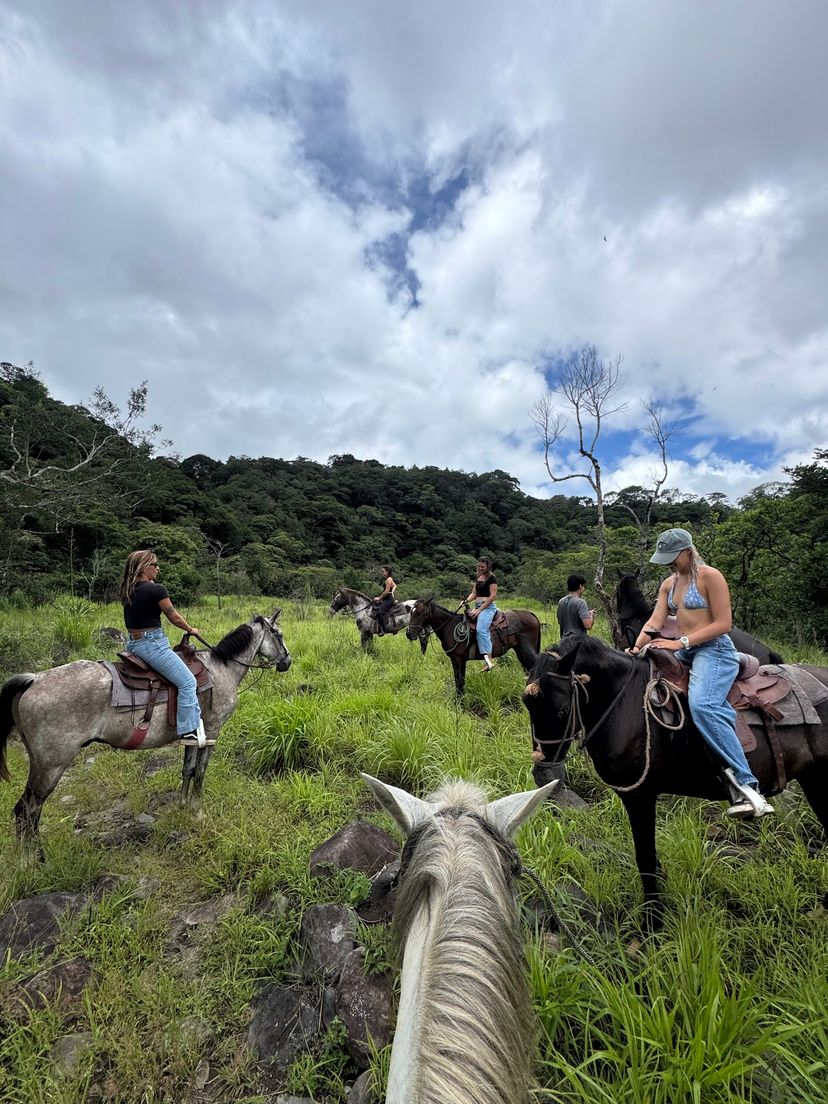 Horseback riding