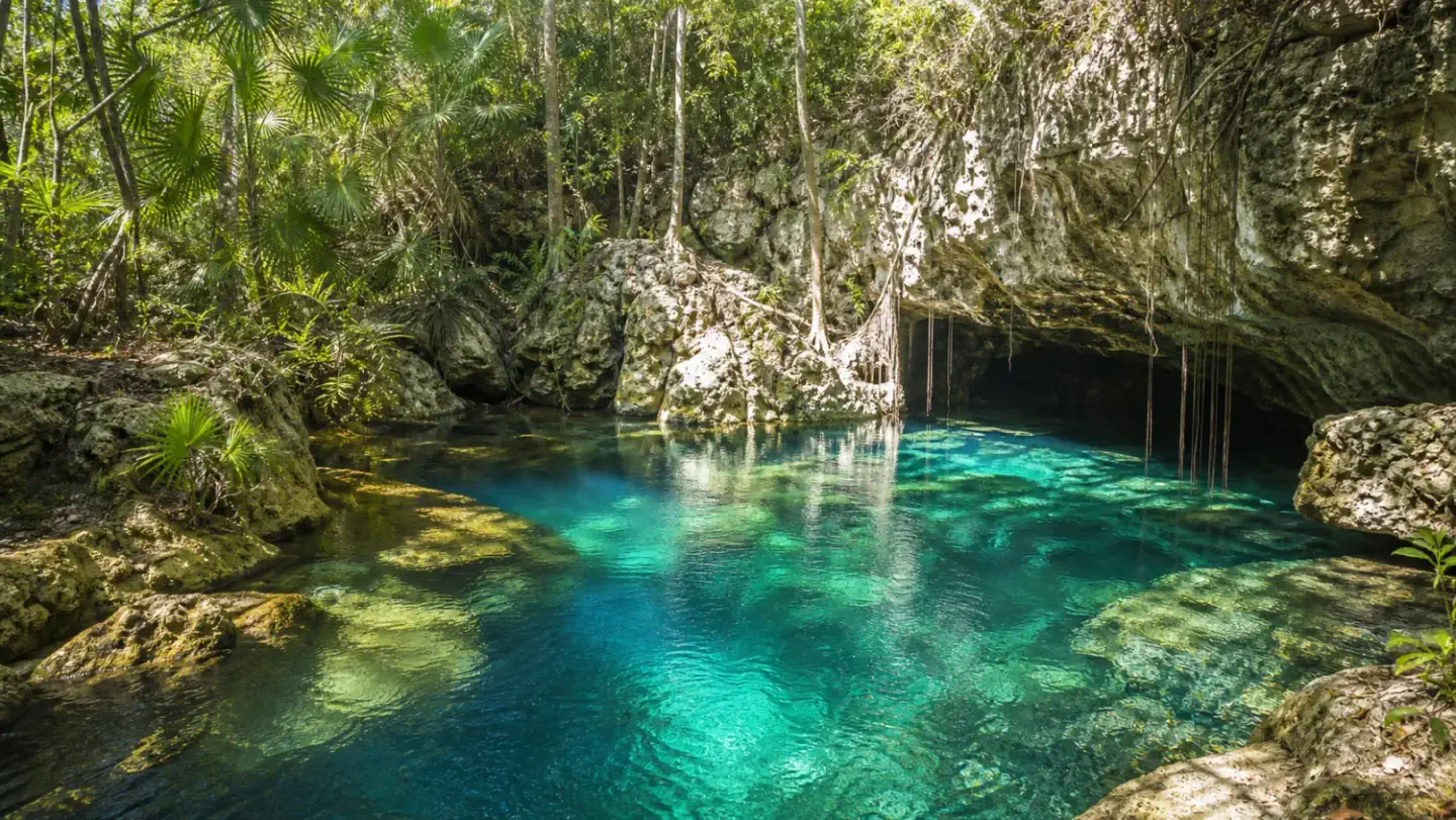 Cenote Day Trips from Playa del Carmen