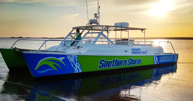Dolphin Cruises