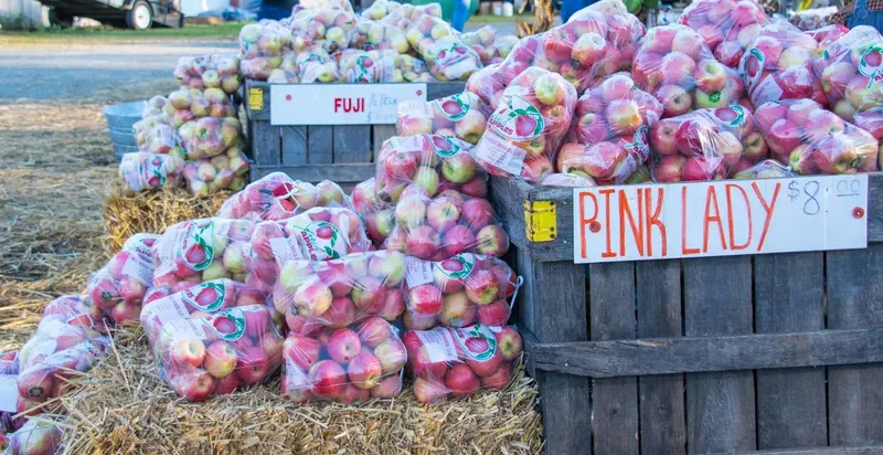 Festival de la Pomme à Ellijay