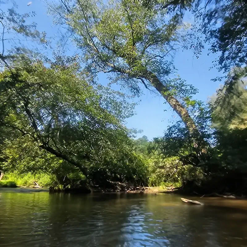 Biking and Kayaking Rentals