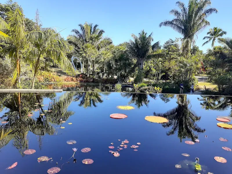 Explore the Naples Botanical Garden
