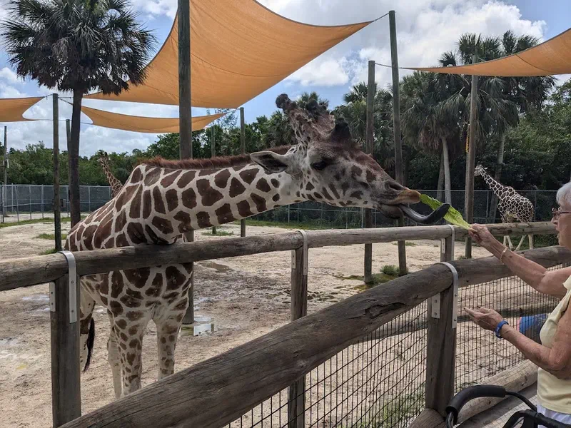 Kid-Friendly Attractions Near Casa Botanica