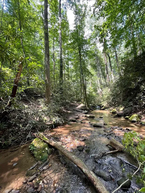 Outdoor Adventure: Hiking Trails