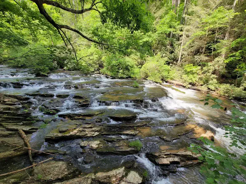 Trilhas Cênicas de Ciclismo Perto de Ellijay