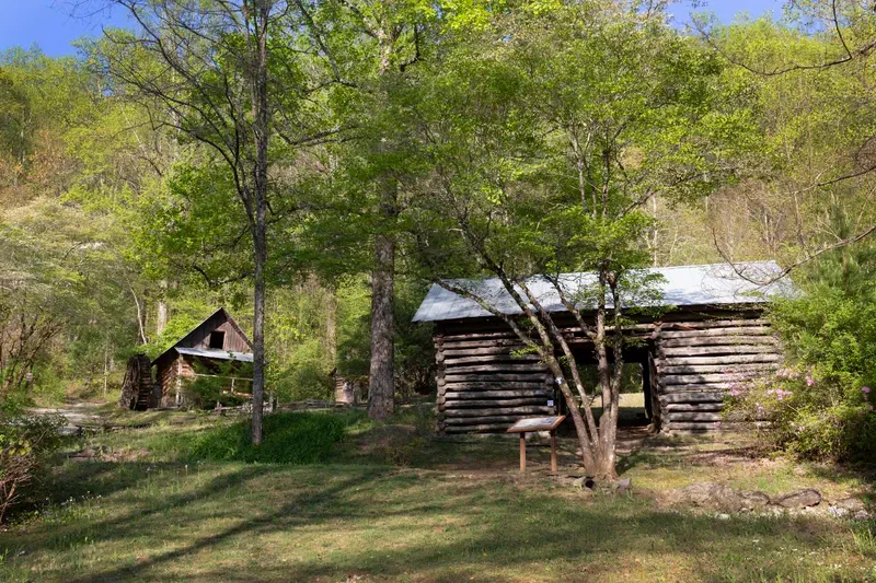 Local Attractions and Amenities