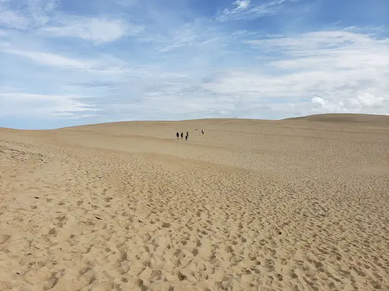 Jockey's Ridge State Park