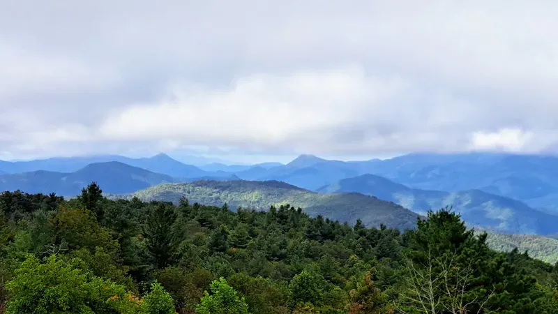 Cherokee National Forest
