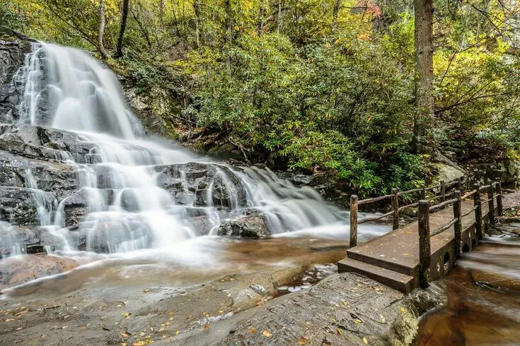Nature Trails in the Great Smoky Mountains