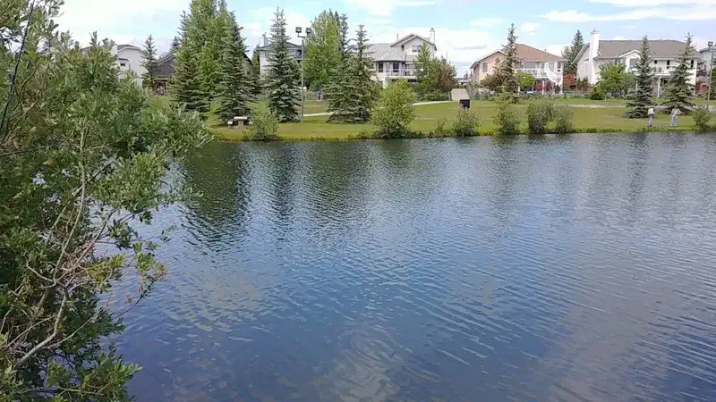 Cochrane