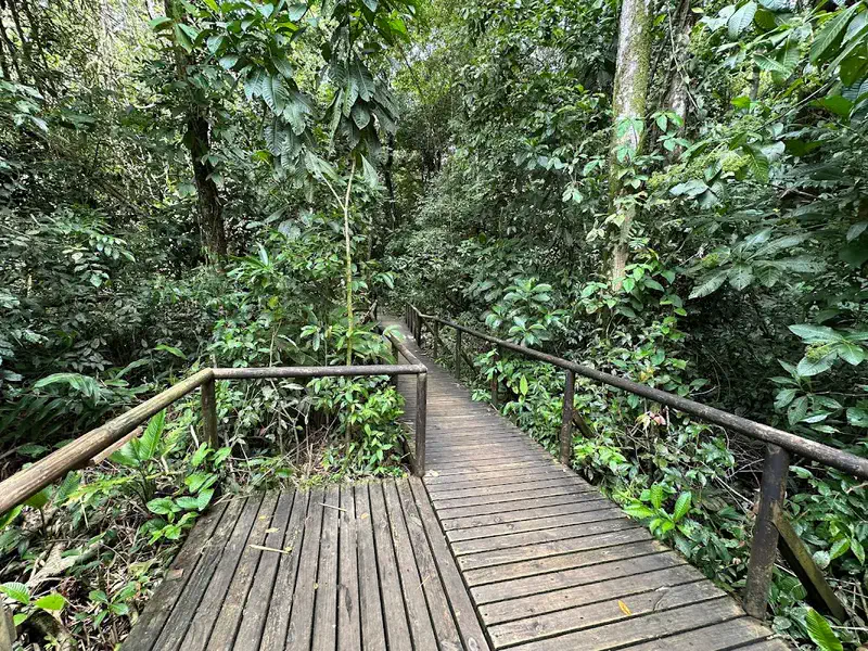 Erkundung des Manuel Antonio Nationalparks