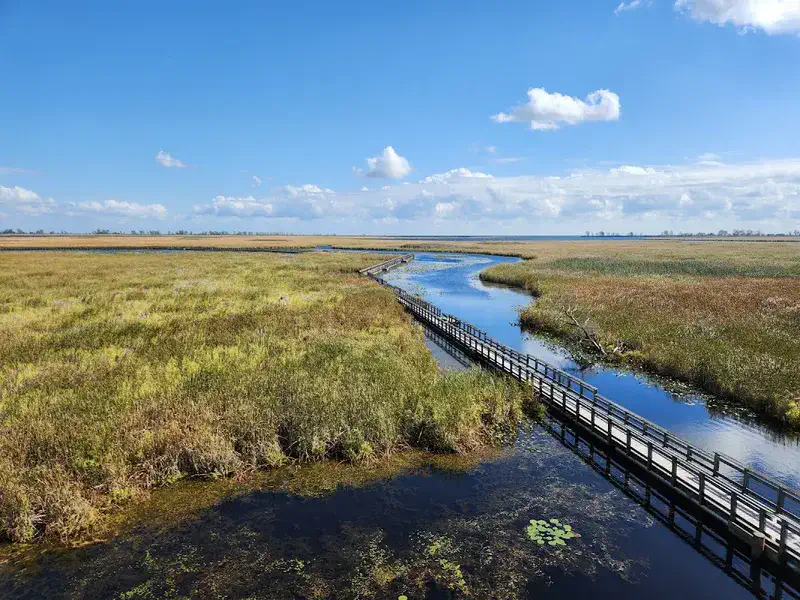 Outdoor Activities at Point Pelee National Park